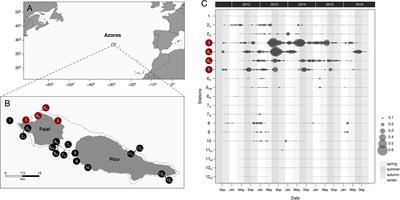 The Multi-Annual Residency of Juvenile Smooth Hammerhead Shark in an Oceanic Island Nursery